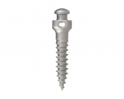 Microtornillo de 2.0 mm x 8.0 mm utilizado en biomecánicas dentales, destacando su precisión y versatilidad.