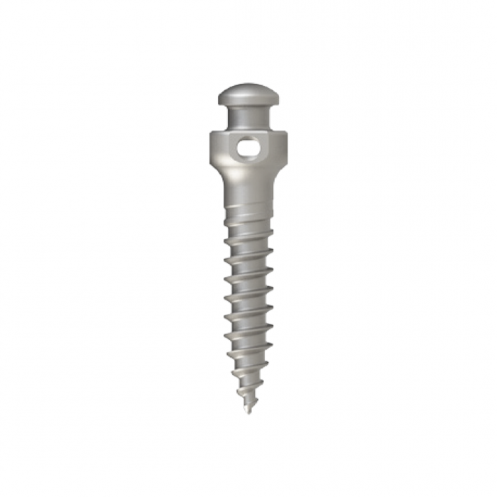 Microtornillo de 2.0 mm x 8.0 mm utilizado en biomecánicas dentales, destacando su precisión y versatilidad.