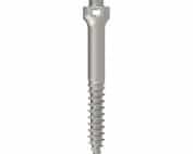 MICROTORNILLOS INFRACIGOMÁTICOS